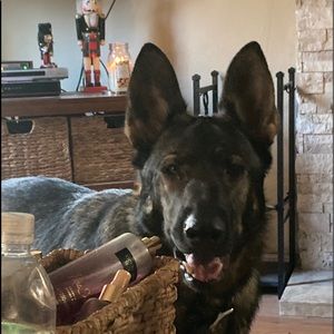 Meet your Posher, Kim